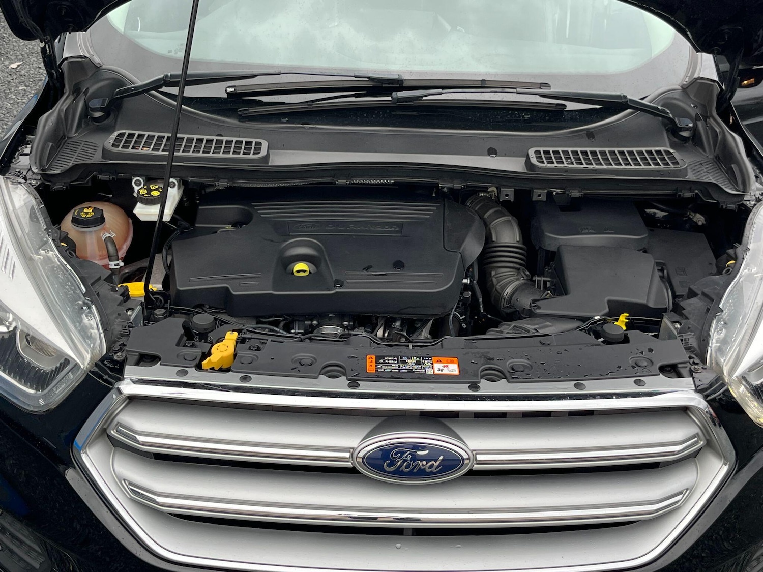 Used Ford Kuga for sale - 77646661: Photo 44