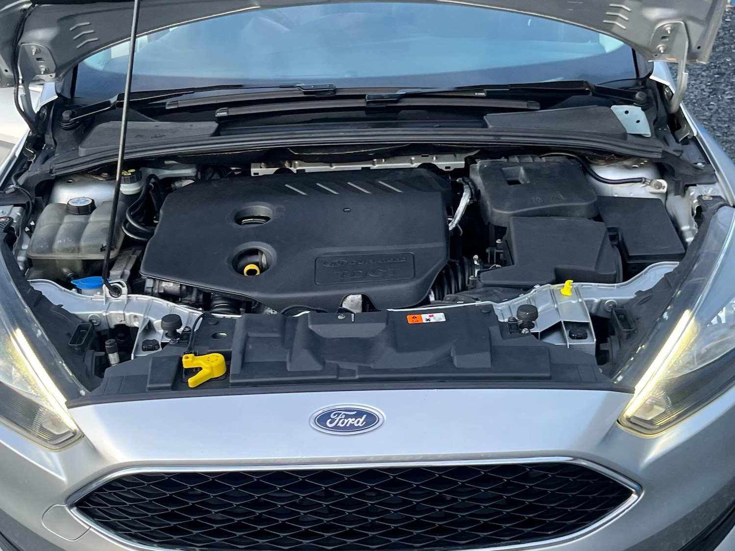 Used Ford Focus 2015 for sale - 77131402: Photo 33