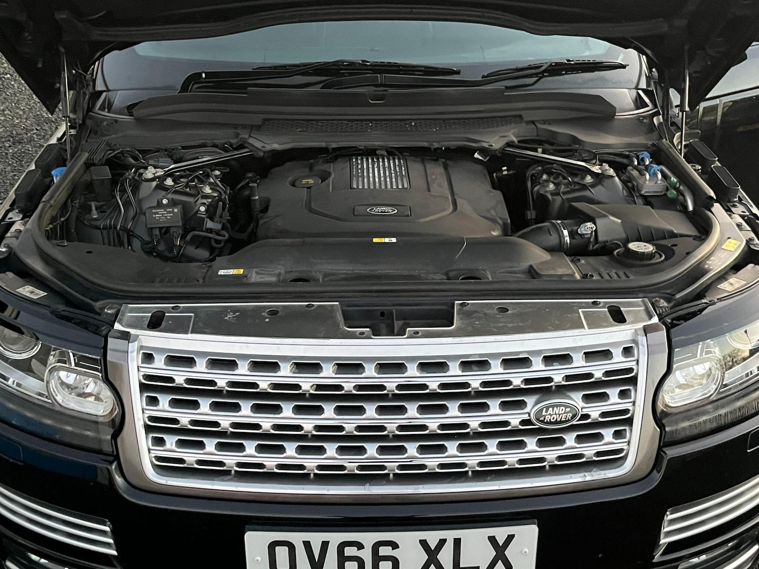 Used Land Rover Range Rover 2016 for sale - 76936691: Photo 81