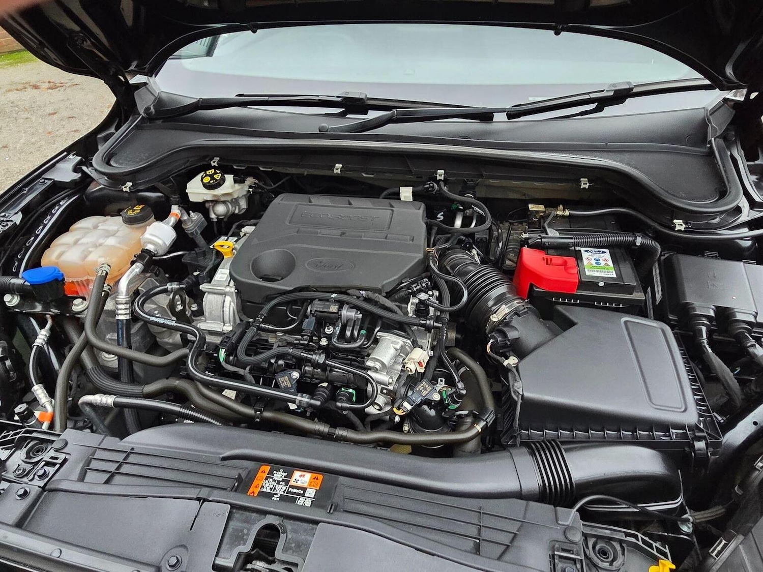 Used Ford Focus 2020 for sale - 77046312: Photo 18