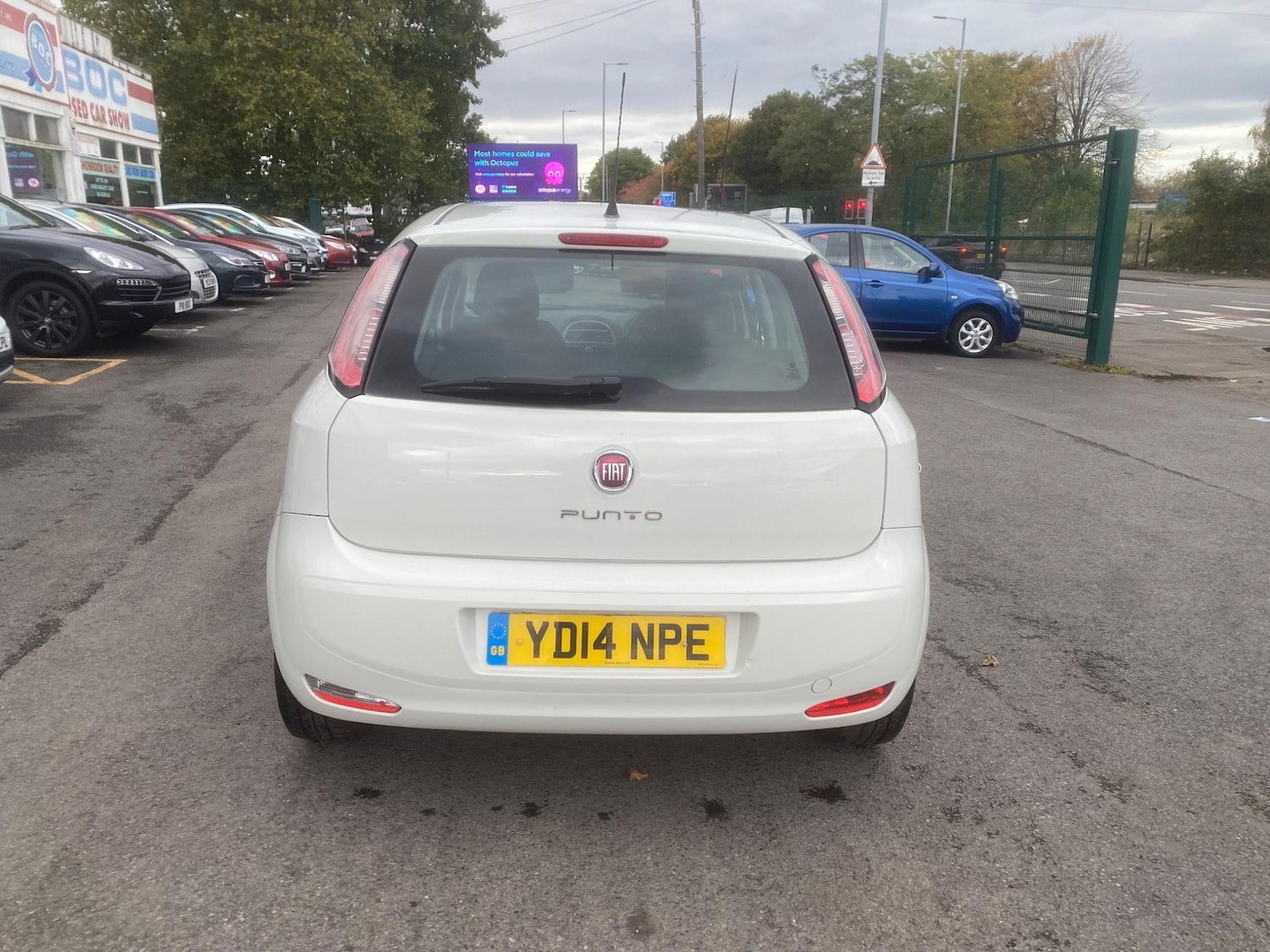 Used Fiat Punto for sale - 76549384: Photo 29