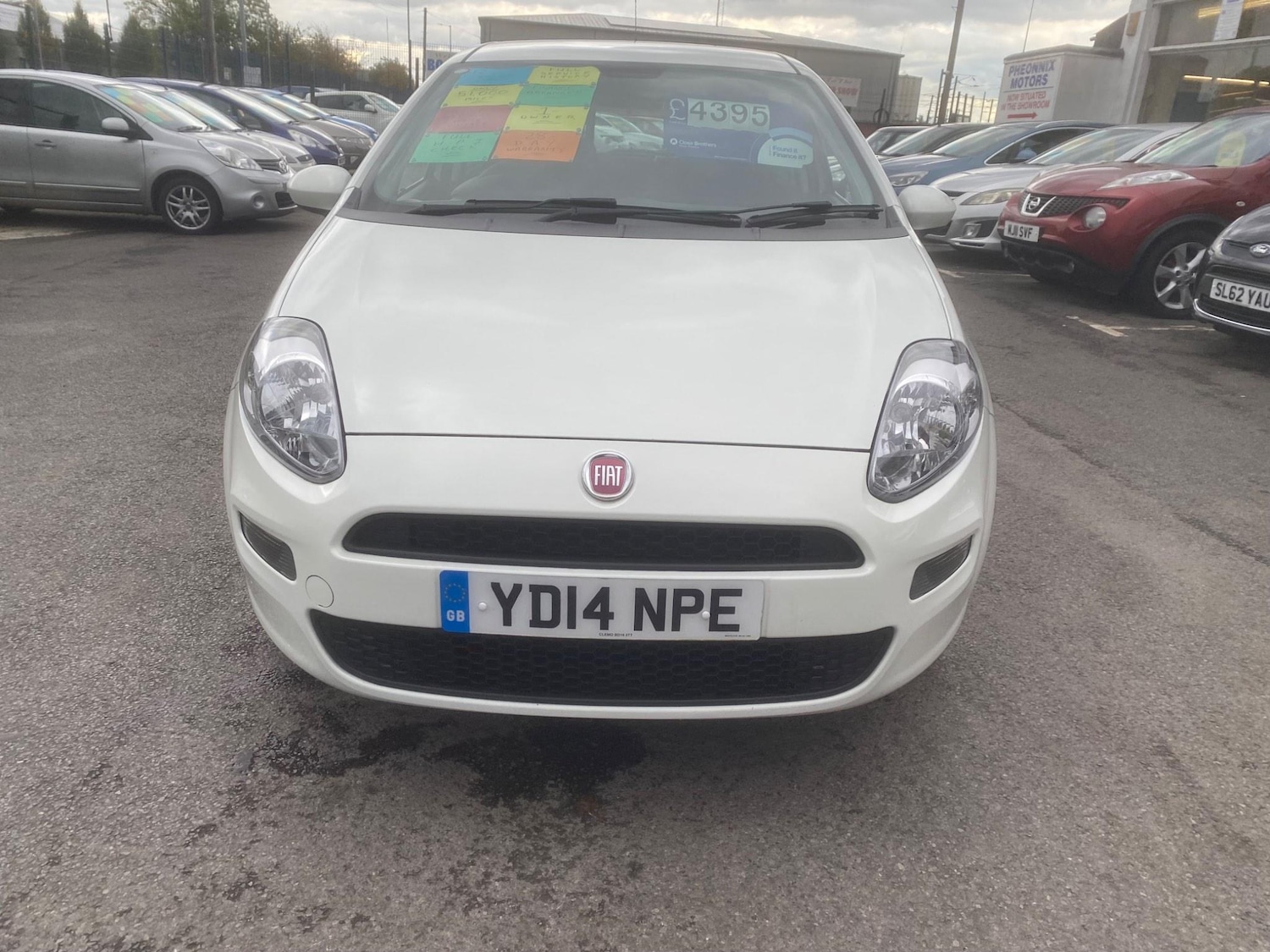 Used Fiat Punto for sale - 76549384: Photo 71
