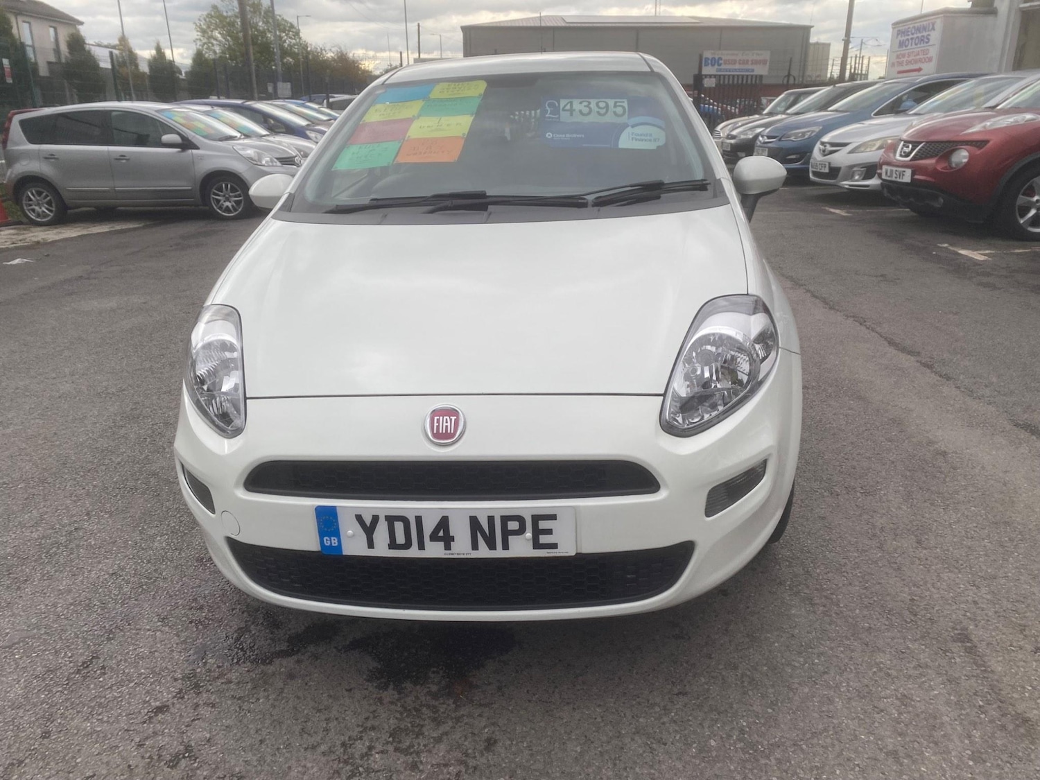 Used Fiat Punto for sale - 76549384: Photo 72