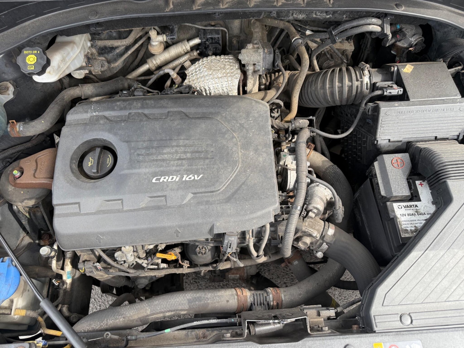 Used Kia Sportage for sale - 76996731: Photo 79