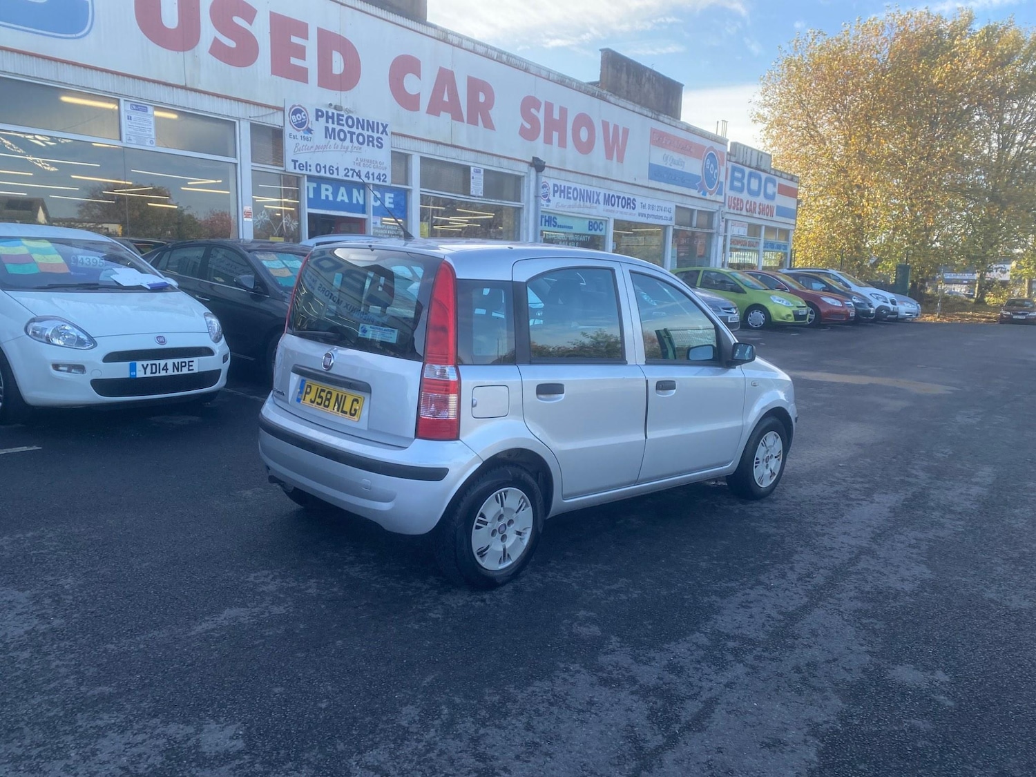 Used Fiat Panda for sale - 76551067: Photo 75