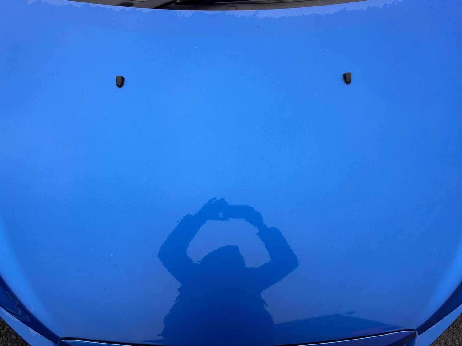 Used Chevrolet Aveo for sale - 76549464: Photo 24