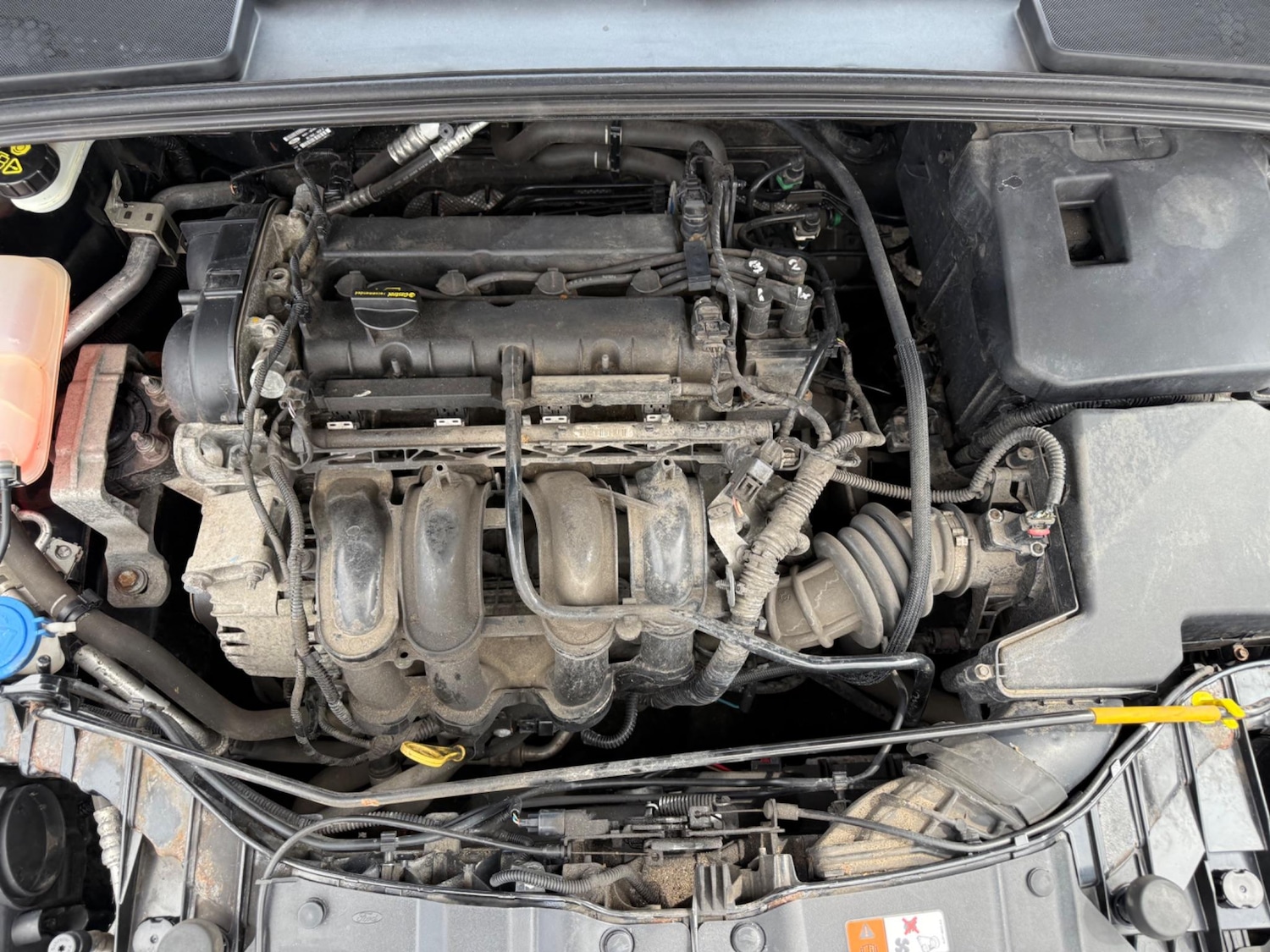 Used Ford Focus 2013 for sale - 76549251: Photo 32