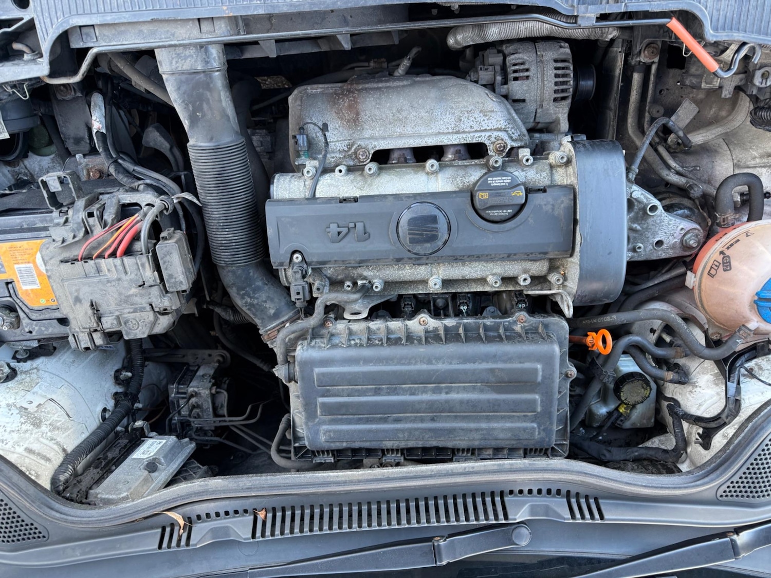 Used SEAT Ibiza 2012 for sale - 76550917: Photo 29