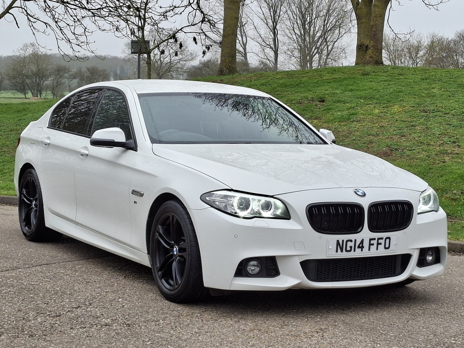 Used BMW 5 Series 2014 for sale - 77789345: Photo 3