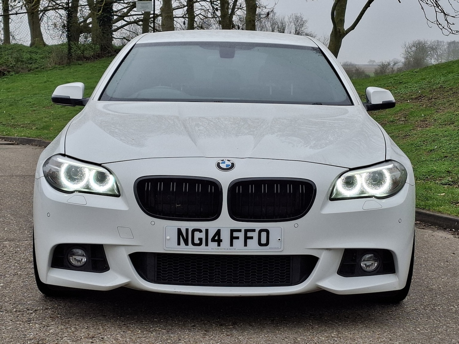 Used BMW 5 Series 2014 for sale - 77789345: Photo 6