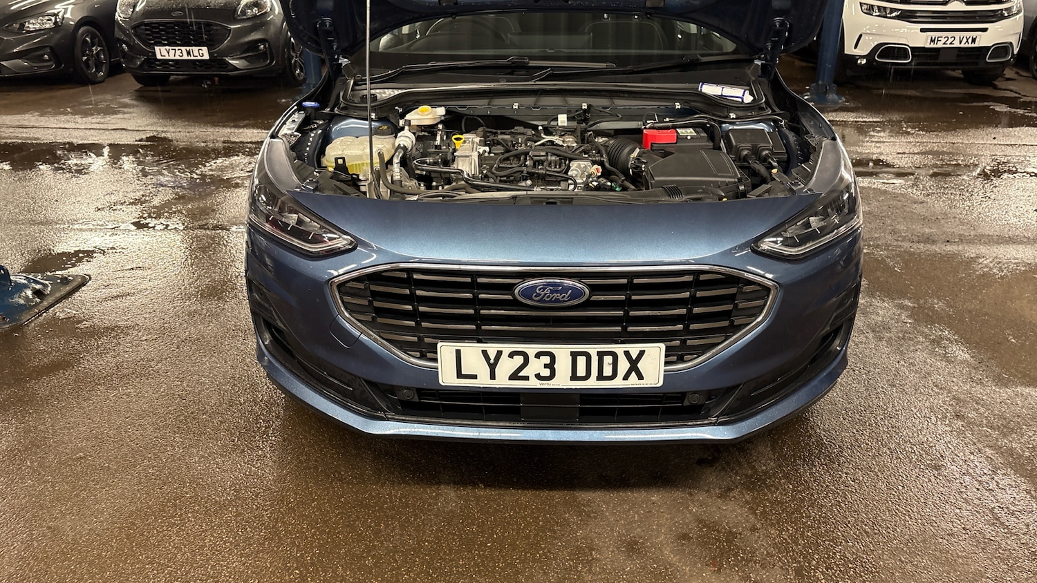 Used Ford Focus 2023 for sale - 77147884: Photo 8