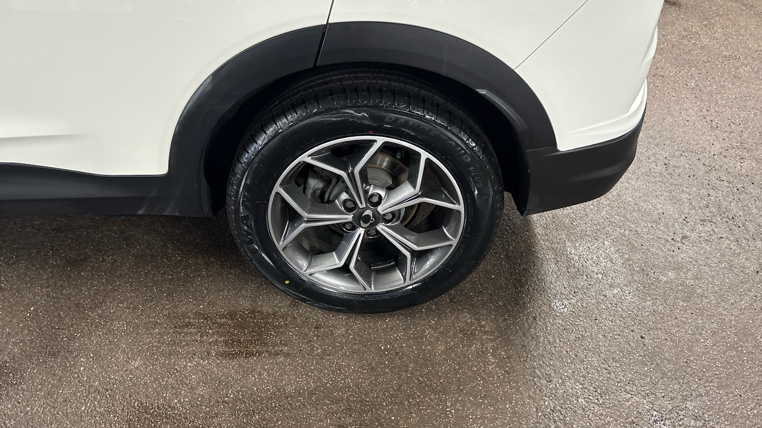 Used Ssangyong Korando 2022 for sale - 77195635: Photo 63