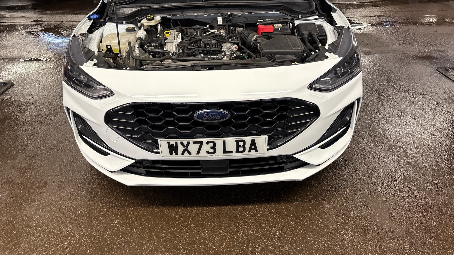 Used Ford Focus 2023 for sale - 77220235: Photo 8