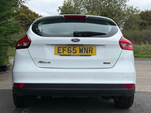 Used Ford Focus 2015 for sale - 76239510: Photo 7