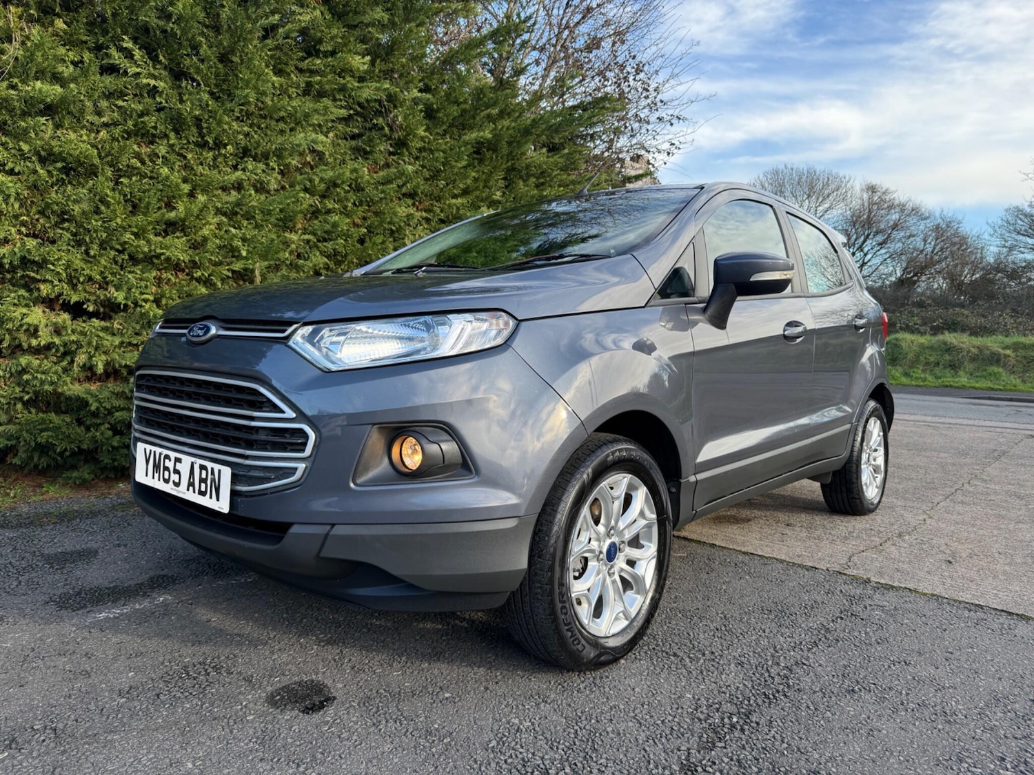 Used Ford Ecosport 2016 for sale - 77359058: Photo 3