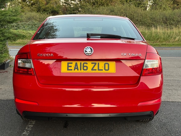 Used Skoda Octavia 2016 for sale - 76072227: Photo 10