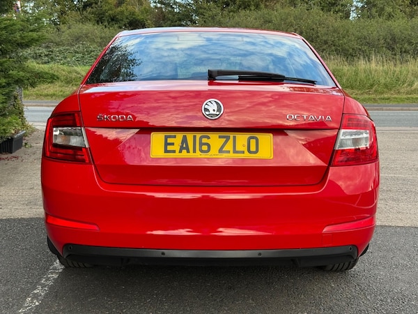 Used Skoda Octavia 2016 for sale - 76072227: Photo 11