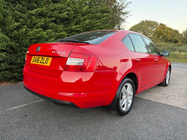 Used Skoda Octavia 2016 for sale - 76072227: Photo 14