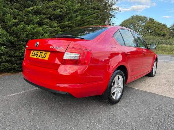 Used Skoda Octavia 2016 for sale - 76072227: Photo 15
