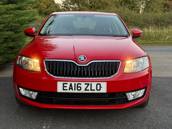 Used Skoda Octavia 2016 for sale - 76072227: Photo 2