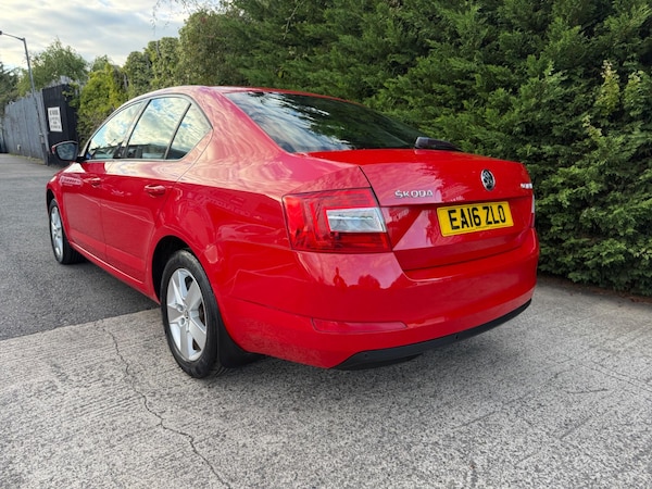 Used Skoda Octavia 2016 for sale - 76072227: Photo 7