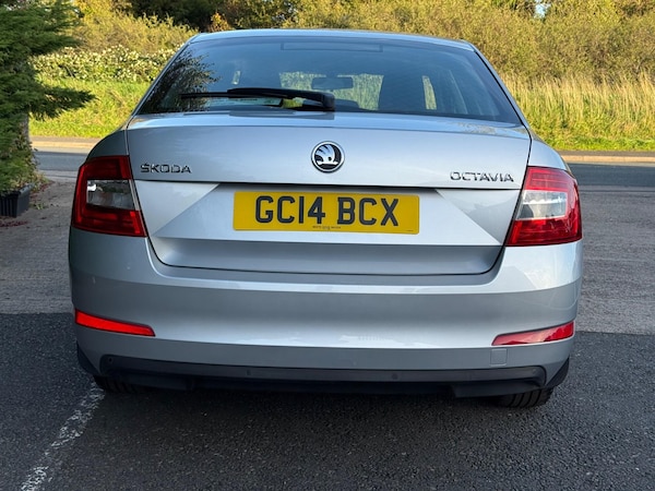 Used Skoda Octavia 2014 for sale - 76227346: Photo 4