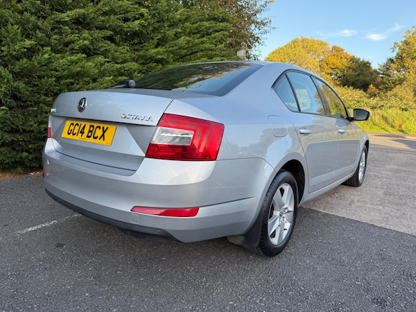 Used Skoda Octavia 2014 for sale - 76227346: Photo 7