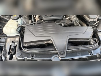 Used BMW 4 Series 2019 for sale - 75292852: Photo
