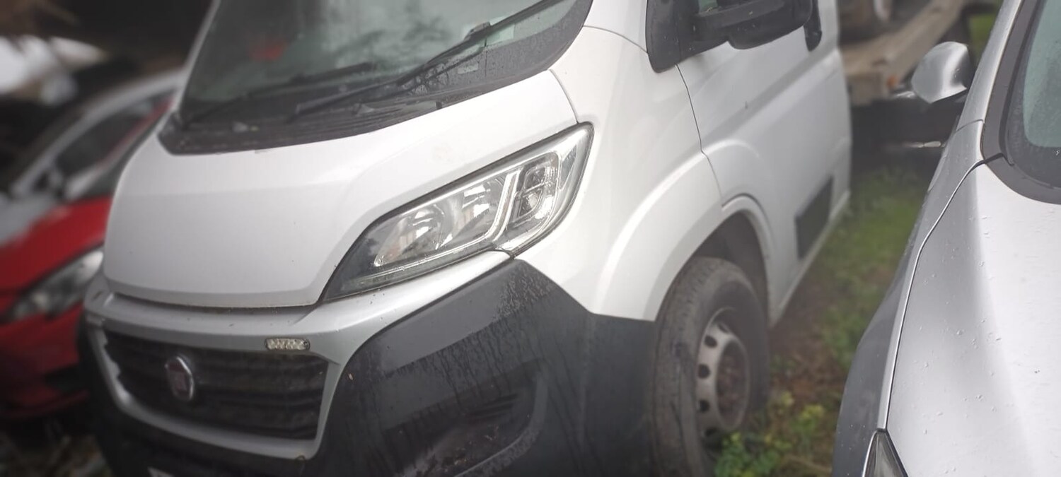 Used Fiat Ducato 2019 for sale - 77470753: Photo 4