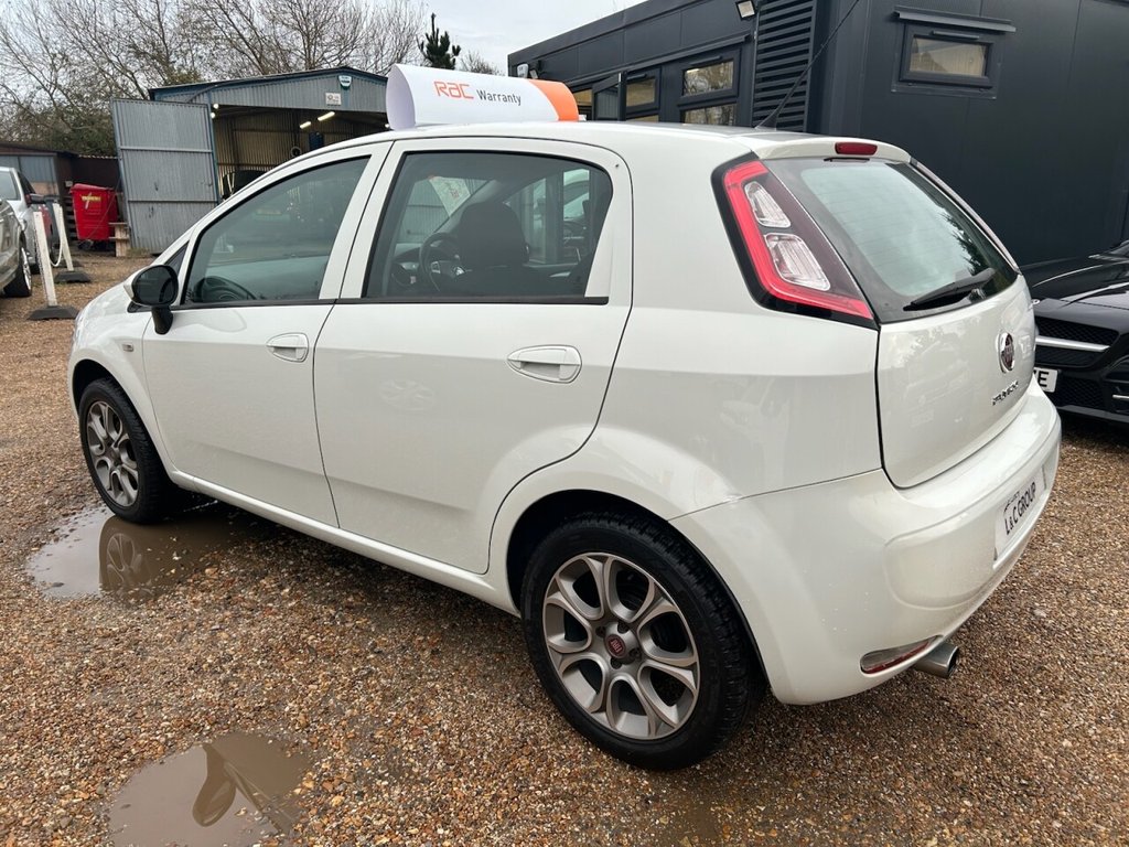 Used Fiat Punto 2015 for sale - 76654729: Photo 7