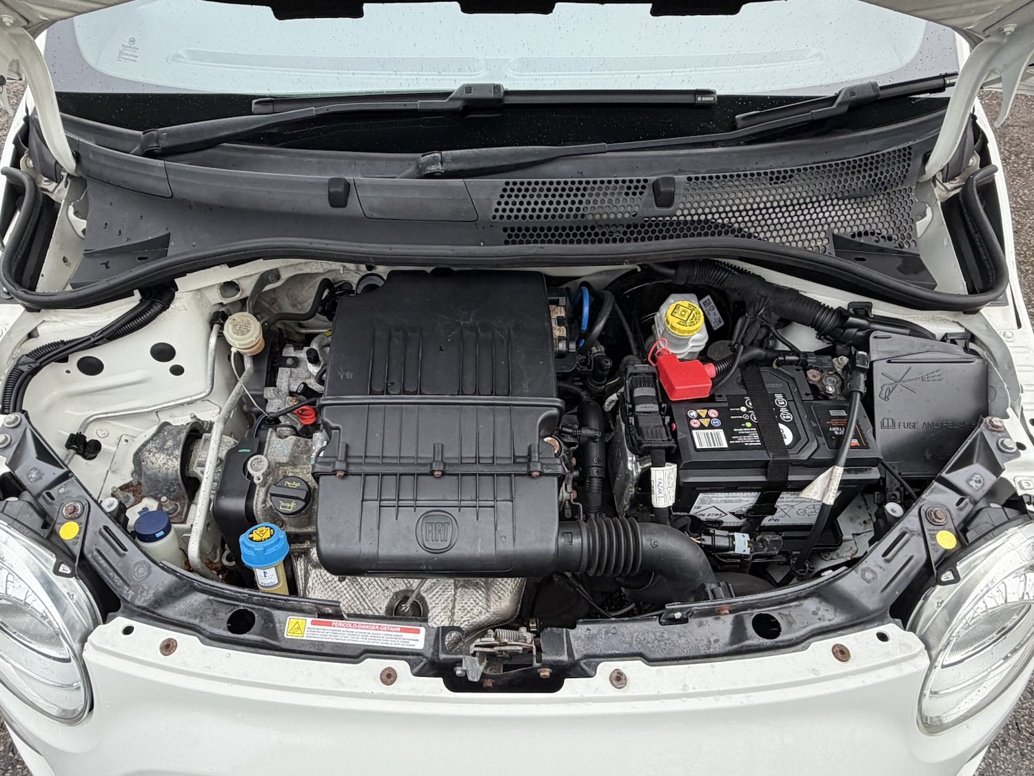 Used Fiat 500 2016 for sale - 77124202: Photo 25