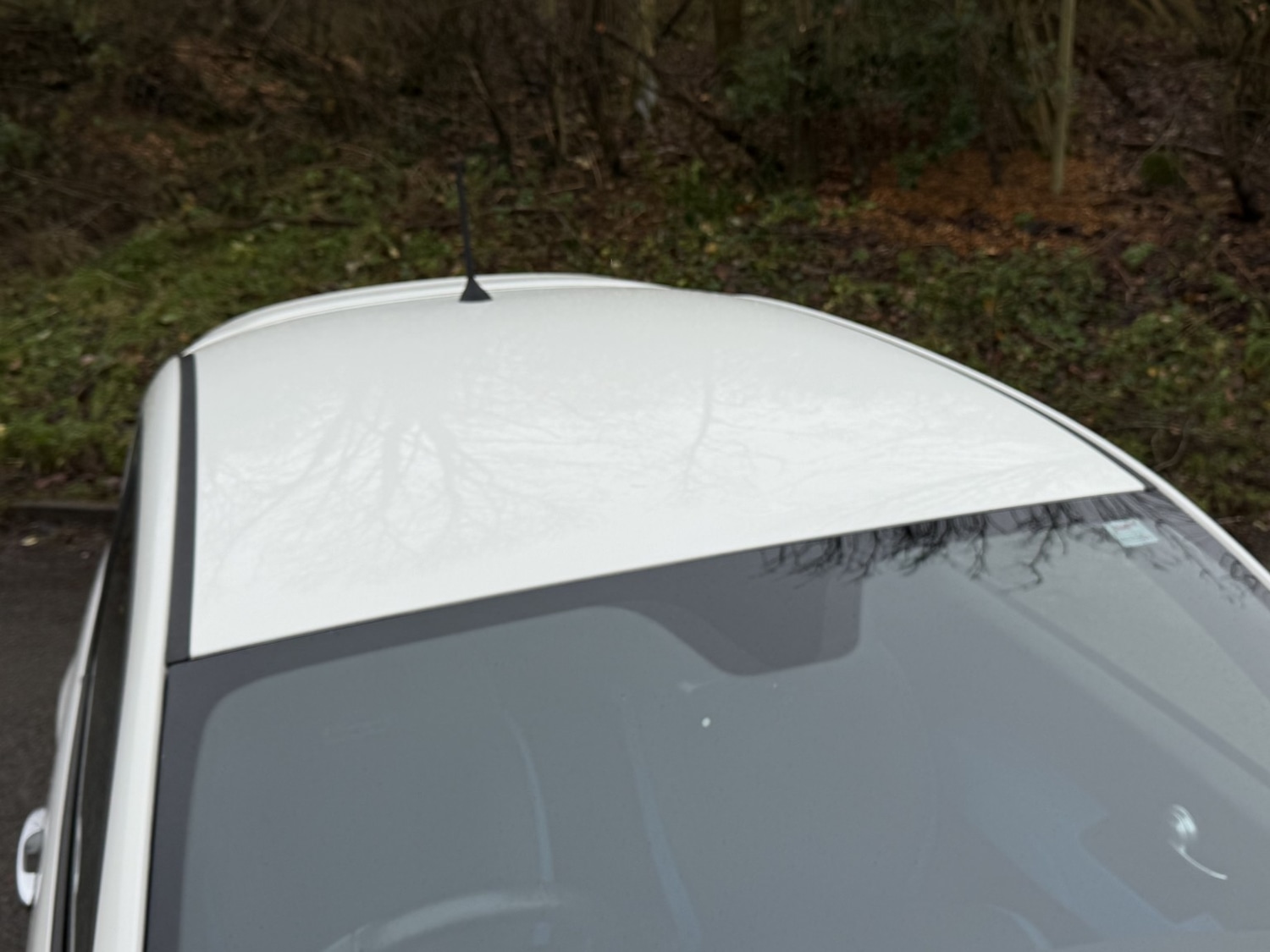 Used Fiat 500 2016 for sale - 77124202: Photo 37