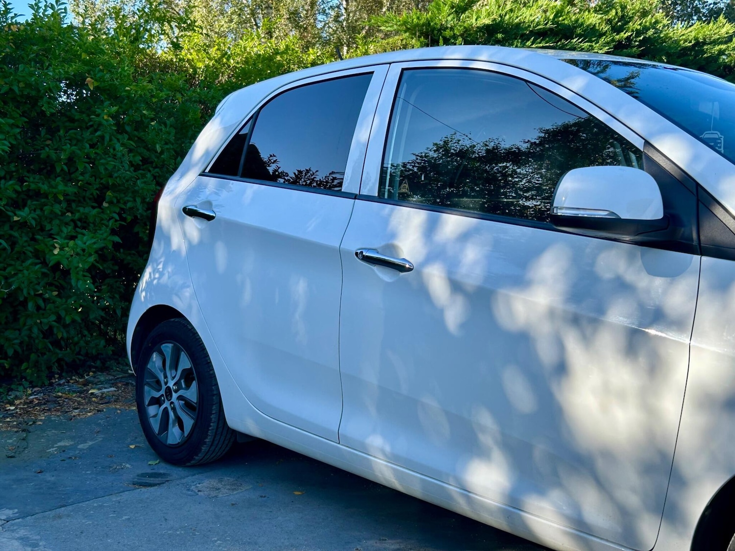 Used Kia Picanto 2016 for sale - 76042649: Photo 14