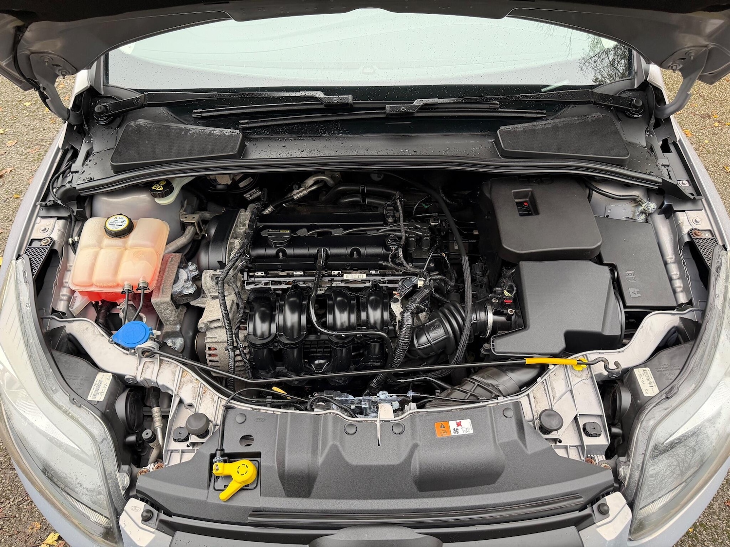 Used Ford Focus 2011 for sale - 76538174: Photo 24