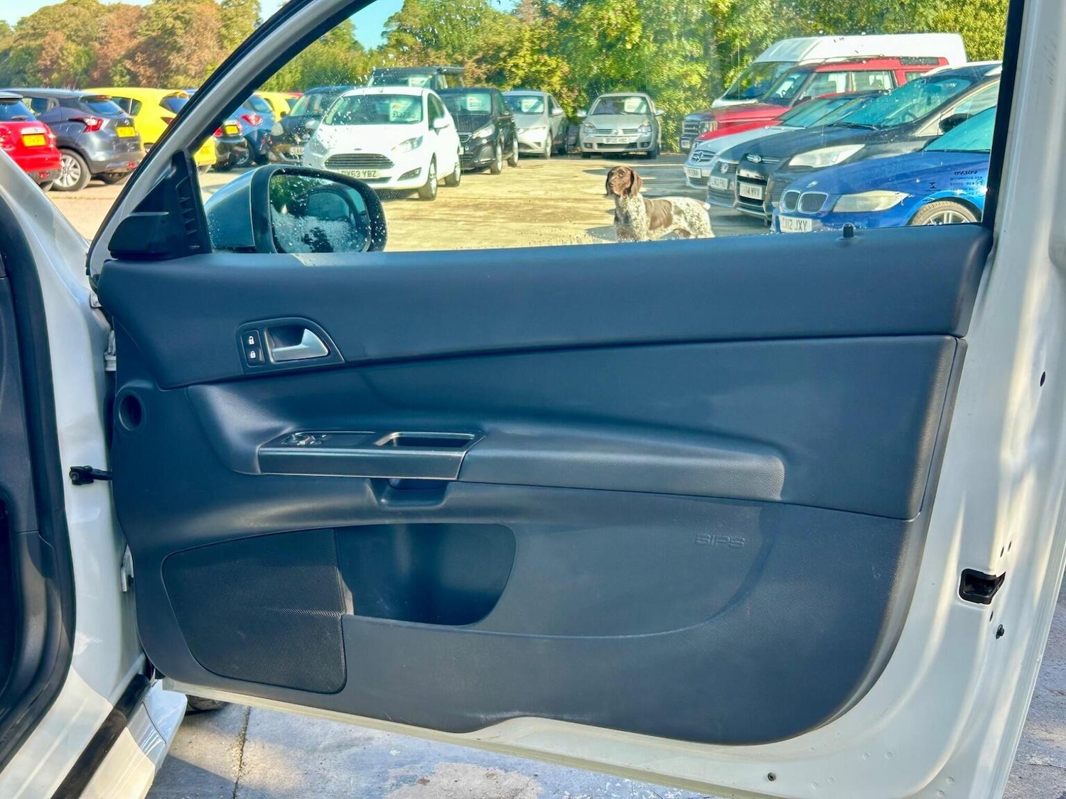 Used Volvo C30 2012 for sale - 77595254: Photo 11