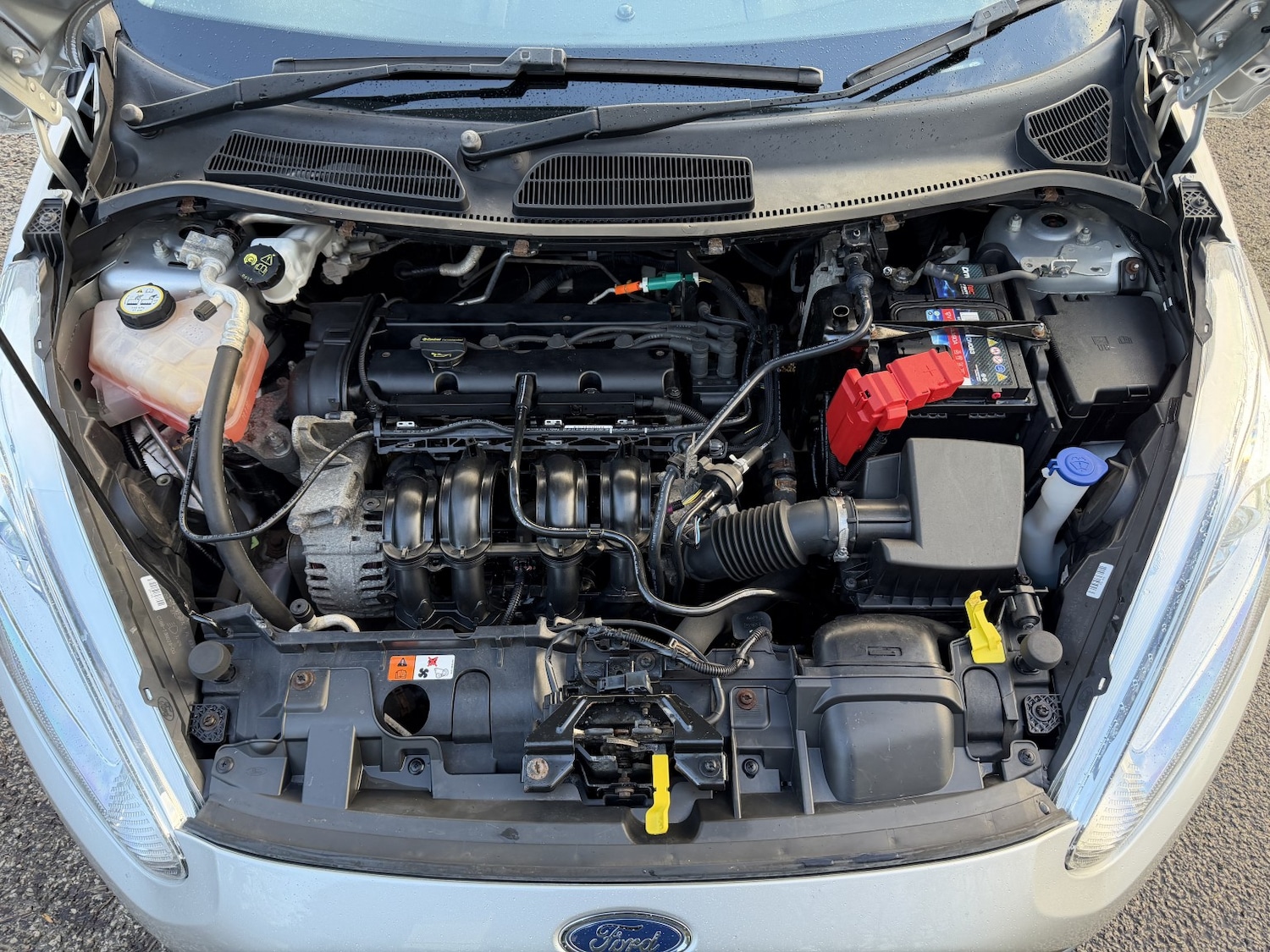 Used Ford Fiesta 2016 for sale - 76877600: Photo 33