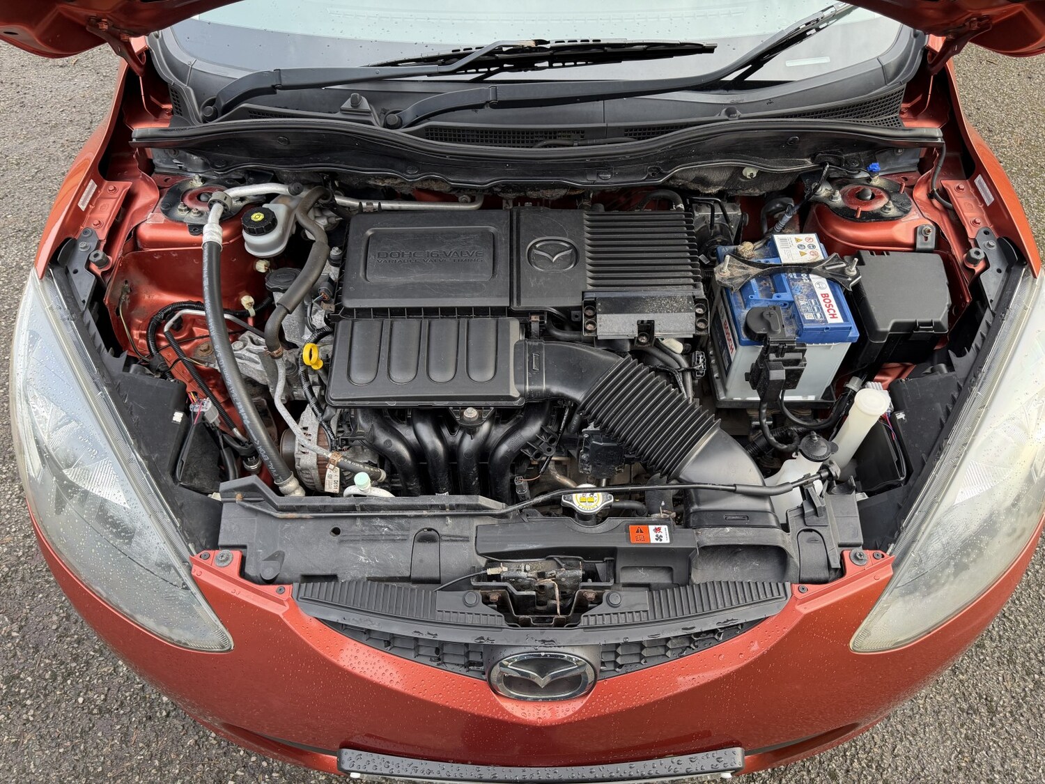 Used Mazda Mazda2 2009 for sale - 77548345: Photo 22