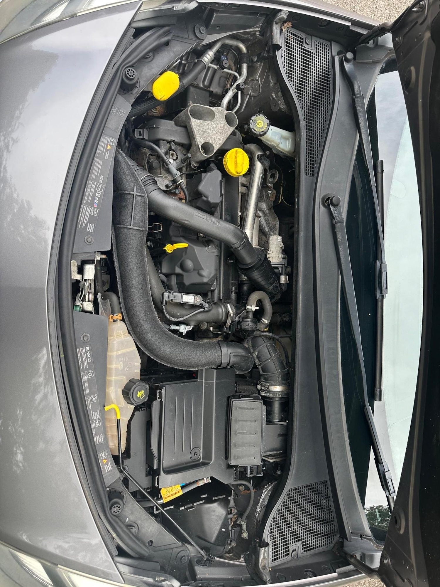 Used Renault Clio 2010 for sale - 76877449: Photo 24