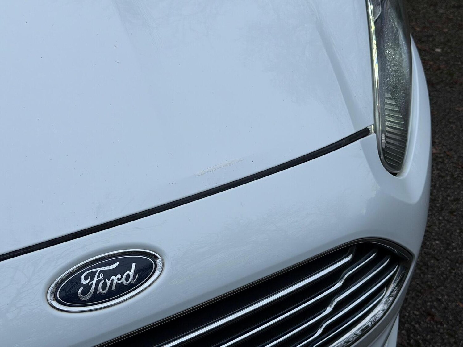 Used Ford Fiesta 2016 for sale - 76877454: Photo 22