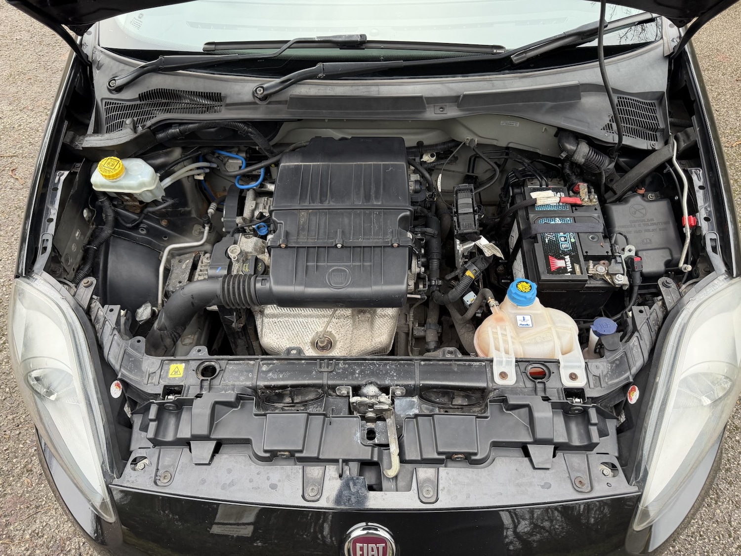 Used Fiat Punto 2015 for sale - 77124208: Photo 22