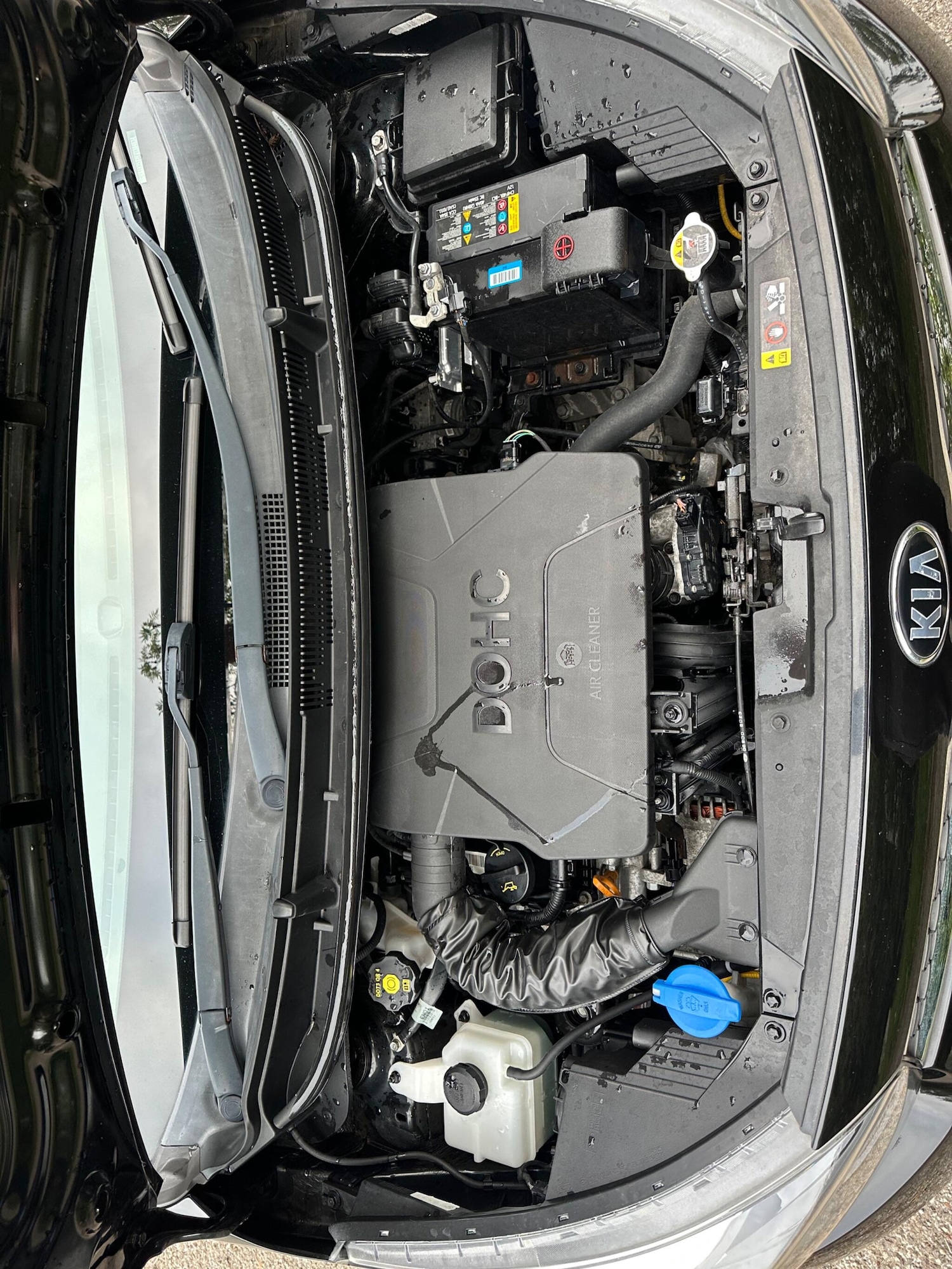 Used Kia Picanto 2018 for sale - 76689420: Photo 28