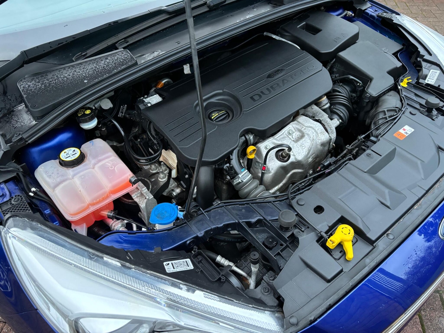 Used Ford Focus 2015 for sale - 76349085: Photo 21