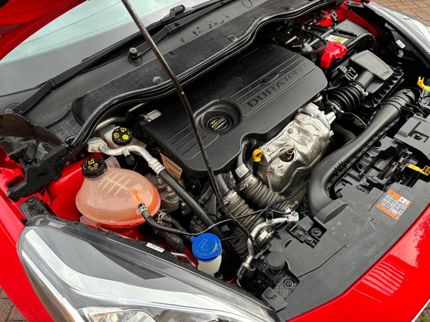 Used Ford Fiesta 2019 for sale - 75741240: Photo 21