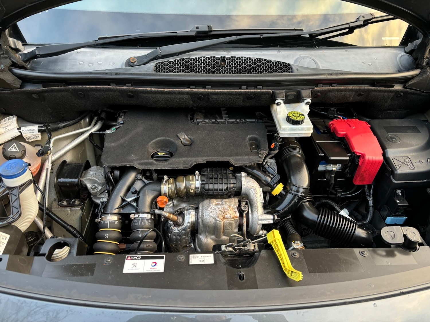 Used Peugeot Partner Tepee 2014 for sale - 76701699: Photo 20