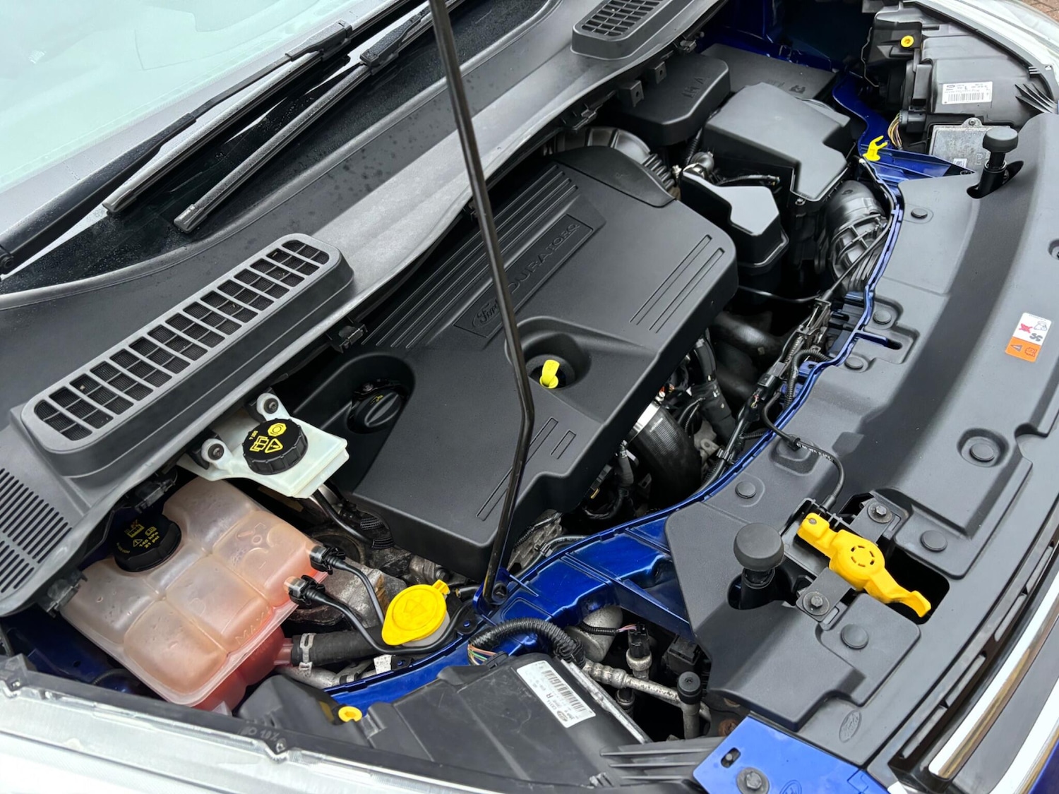 Used Ford Kuga for sale - 77040524: Photo 20