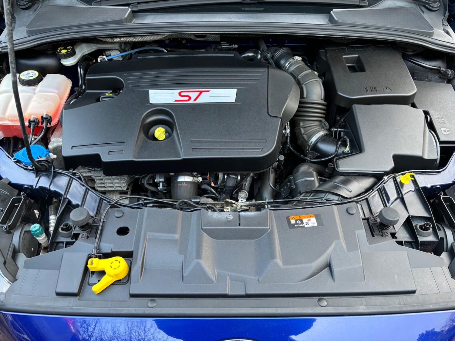 Used Ford Focus 2017 for sale - 76752884: Photo 21