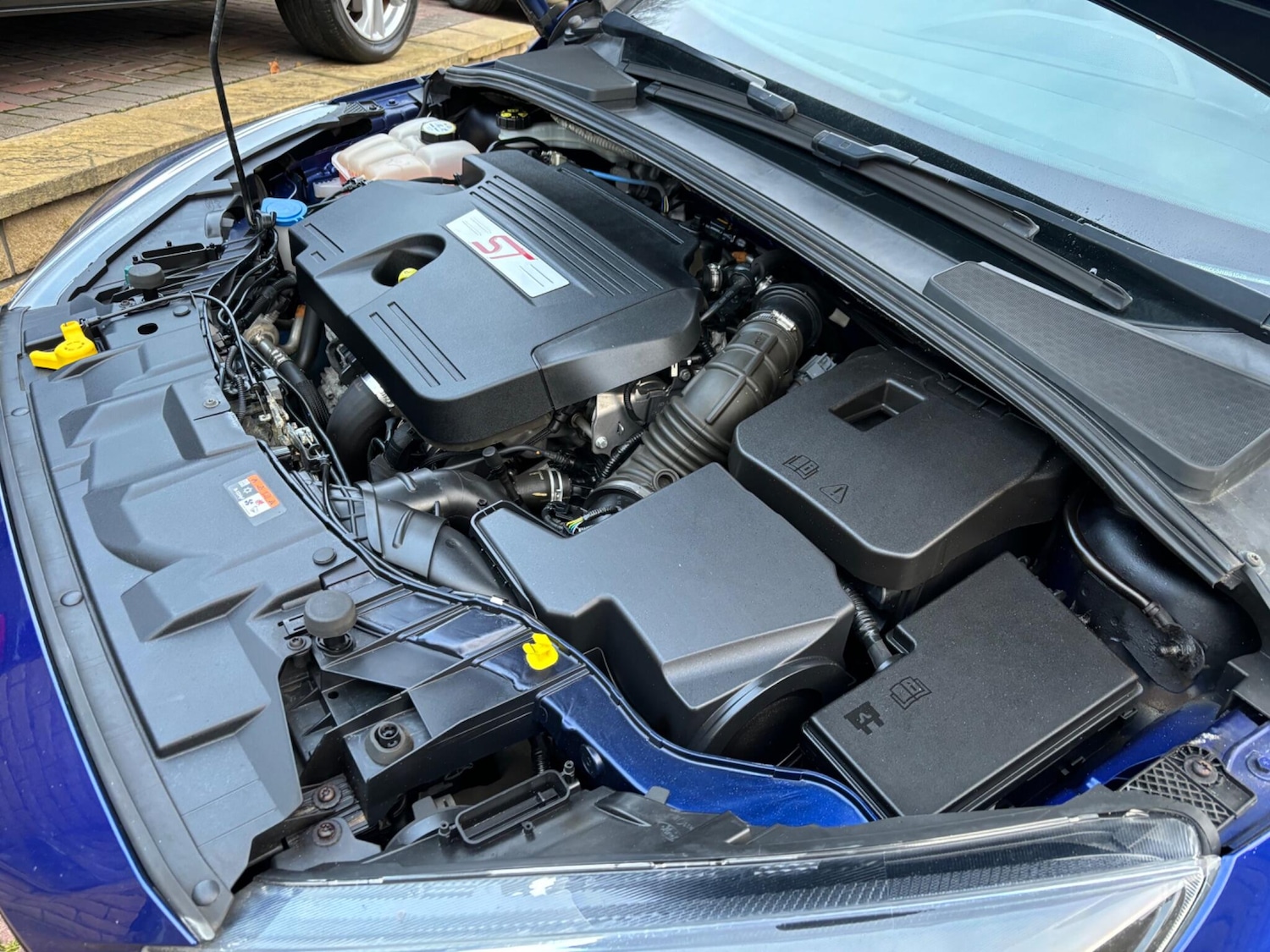 Used Ford Focus 2017 for sale - 76752884: Photo 22