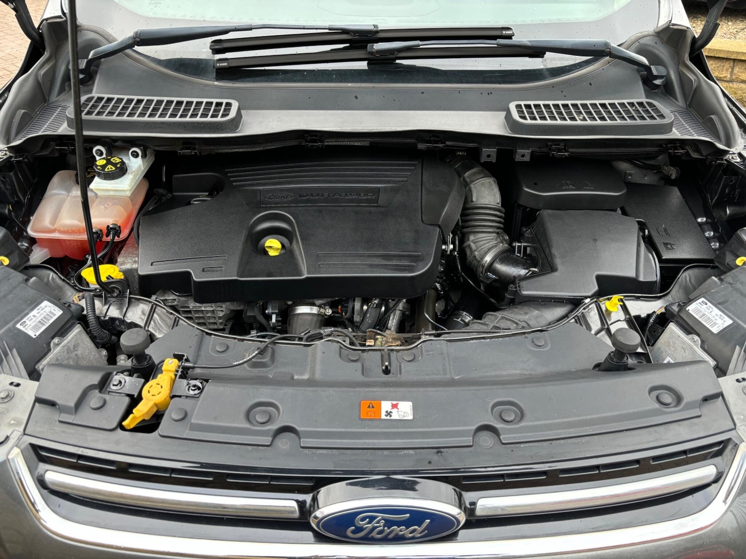 Used Ford Kuga for sale - 77704773: Photo 18