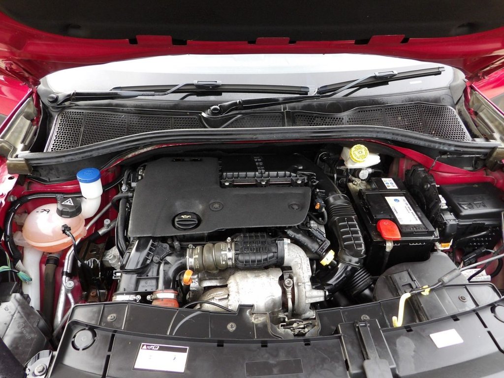 Used Citroen C4 Cactus 2017 for sale - 77507058: Photo 22