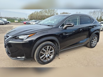 Used Lexus NX 2016 for sale - 79230256: Photo